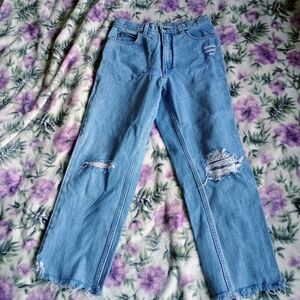 Lands' End Light Blue Denim Size 8